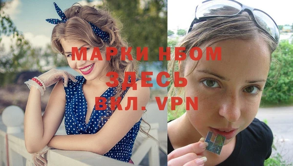 дмт Магас
