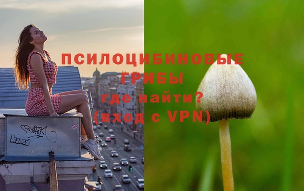 а пвп мука Магадан