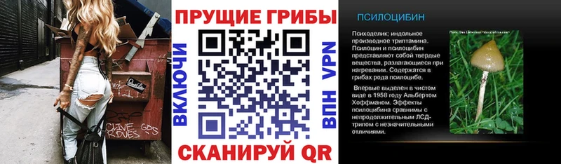 Псилоцибиновые грибы Cubensis  Купить где  Почеп 