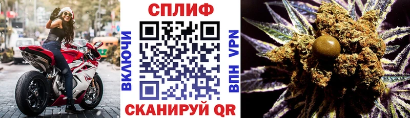 Купить закладки  Почеп  Конопля гибрид 